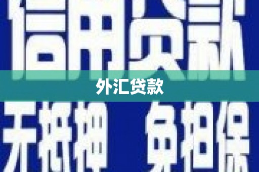章贡外汇贷款