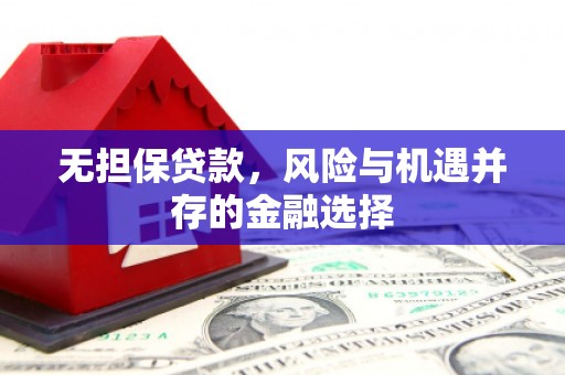 章贡无担保贷款，风险与机遇并存的金融选择