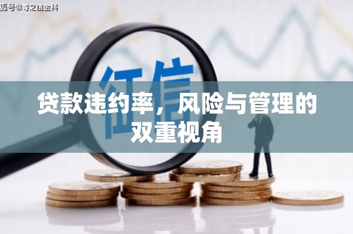 章贡贷款违约率，风险与管理的双重视角