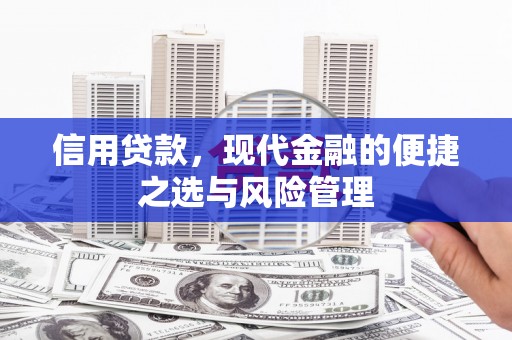章贡信用贷款，现代金融的便捷之选与风险管理