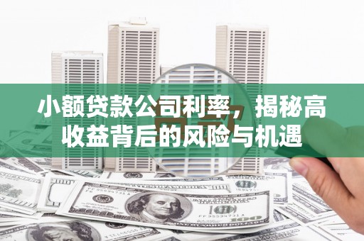 章贡小额贷款公司利率，揭秘高收益背后的风险与机遇