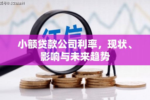 章贡小额贷款公司利率，现状、影响与未来趋势