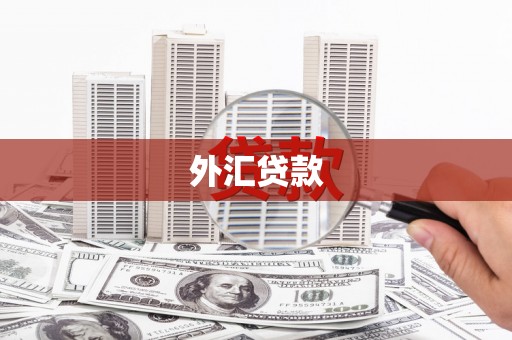章贡外汇贷款