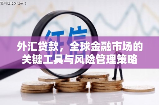 章贡外汇贷款，全球金融市场的关键工具与风险管理策略