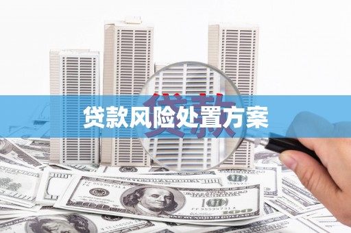 章贡贷款风险处置方案