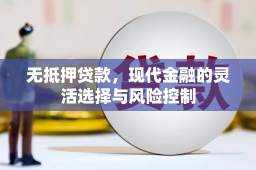章贡无抵押贷款，现代金融的灵活选择与风险控制