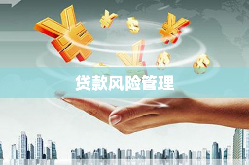 章贡贷款风险管理