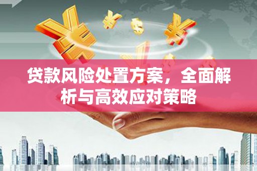 章贡贷款风险处置方案，全面解析与高效应对策略