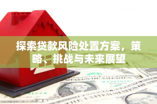章贡探索贷款风险处置方案，策略、挑战与未来展望
