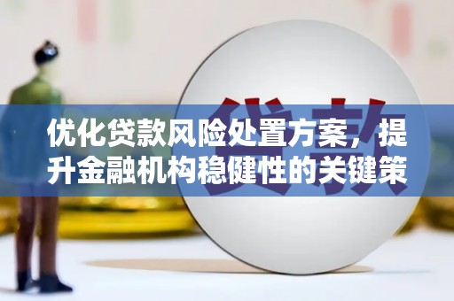章贡优化贷款风险处置方案，提升金融机构稳健性的关键策略