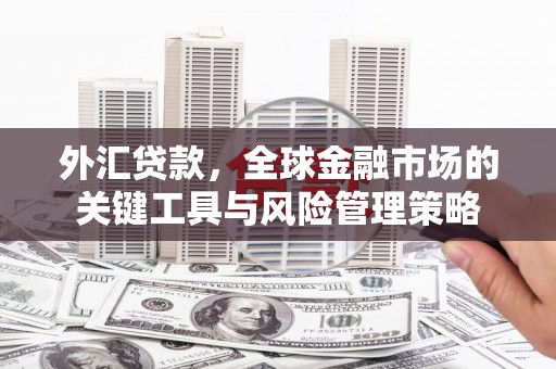章贡外汇贷款，全球金融市场的关键工具与风险管理策略