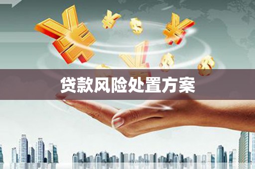 章贡贷款风险处置方案