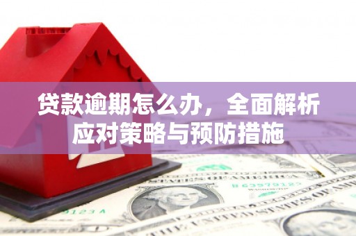 章贡贷款逾期怎么办，全面解析应对策略与预防措施