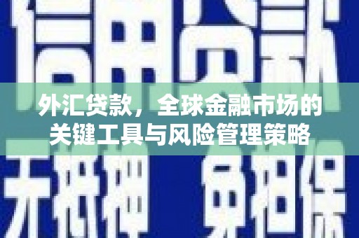 章贡外汇贷款，全球金融市场的关键工具与风险管理策略