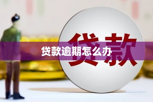 章贡贷款逾期怎么办
