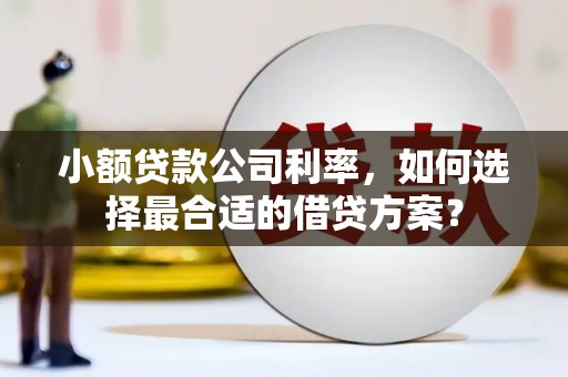 章贡小额贷款公司利率，如何选择最合适的借贷方案？