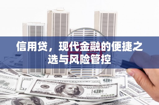章贡信用贷，现代金融的便捷之选与风险管控