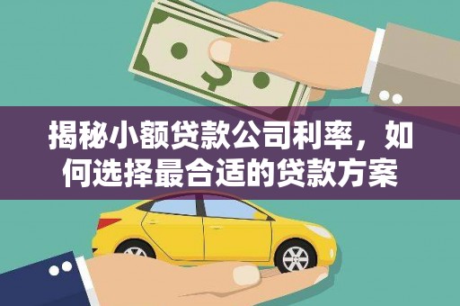 章贡揭秘小额贷款公司利率，如何选择最合适的贷款方案