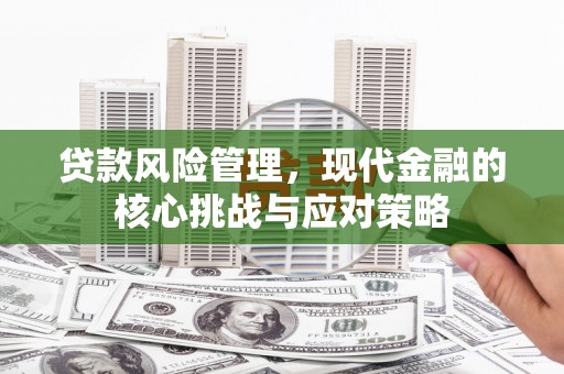 章贡贷款风险管理，现代金融的核心挑战与应对策略