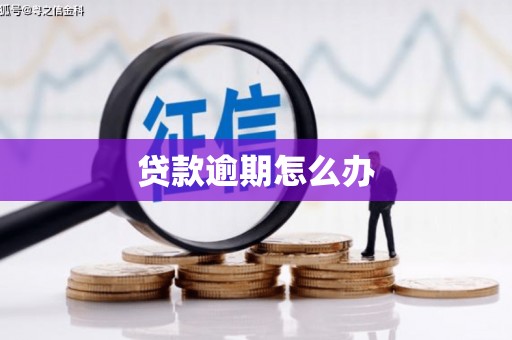 章贡贷款逾期怎么办