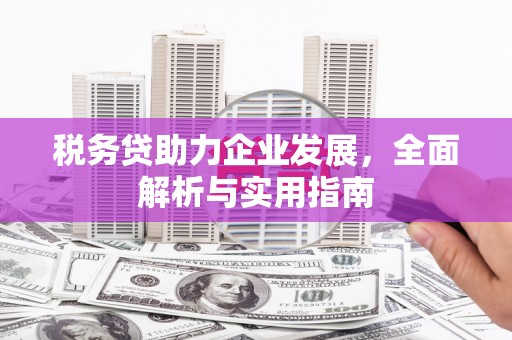 章贡税务贷助力企业发展，全面解析与实用指南