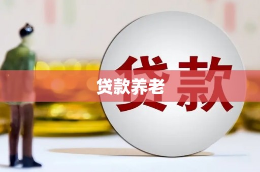章贡贷款养老