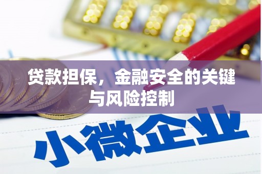章贡贷款担保，金融安全的关键与风险控制