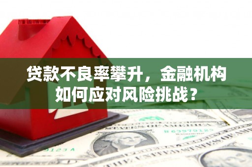 章贡贷款不良率攀升，金融机构如何应对风险挑战？