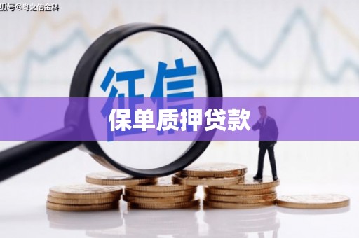 章贡保单质押贷款