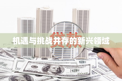 章贡机遇与挑战并存的新兴领域