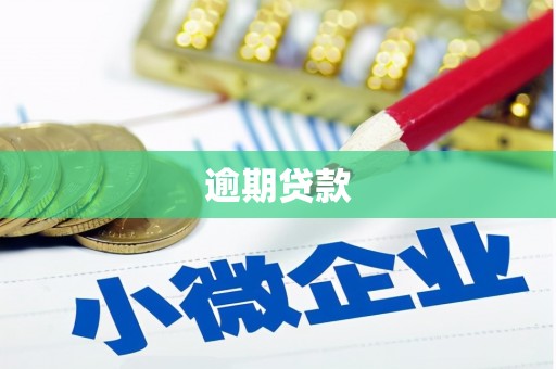 章贡逾期贷款