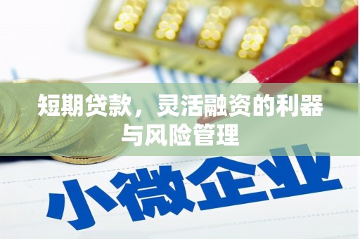 章贡短期贷款，灵活融资的利器与风险管理