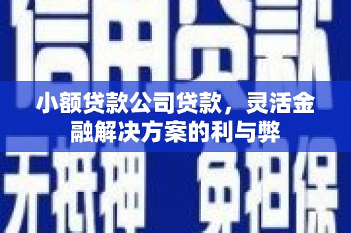 章贡小额贷款公司贷款，灵活金融解决方案的利与弊