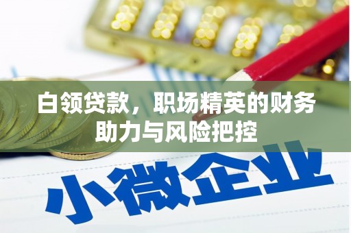 章贡白领贷款，职场精英的财务助力与风险把控
